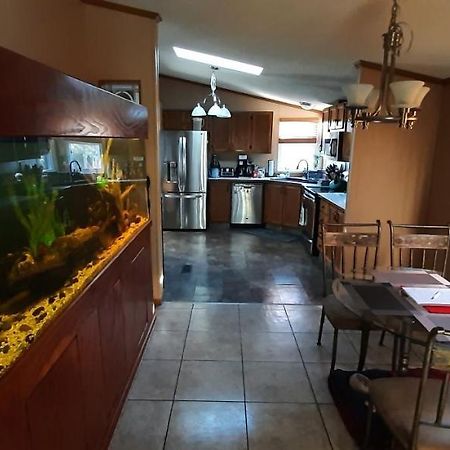 Private Pet Friendly Home Near Exotic Deer Farm Close To Pigeon Forge, Gatlinburg Tn Sevierville Εξωτερικό φωτογραφία
