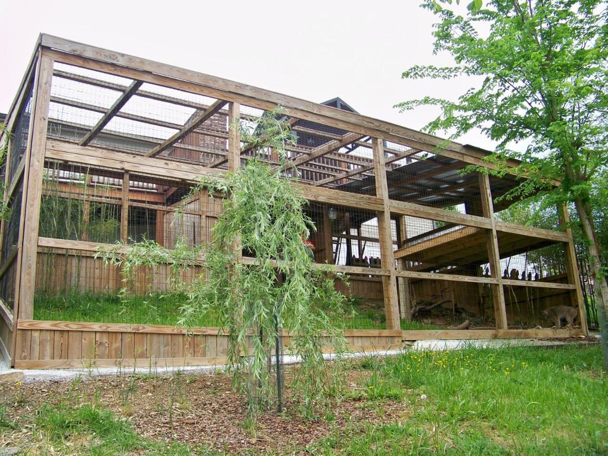 Private Pet Friendly Home Near Exotic Deer Farm Close To Pigeon Forge, Gatlinburg Tn Sevierville Εξωτερικό φωτογραφία