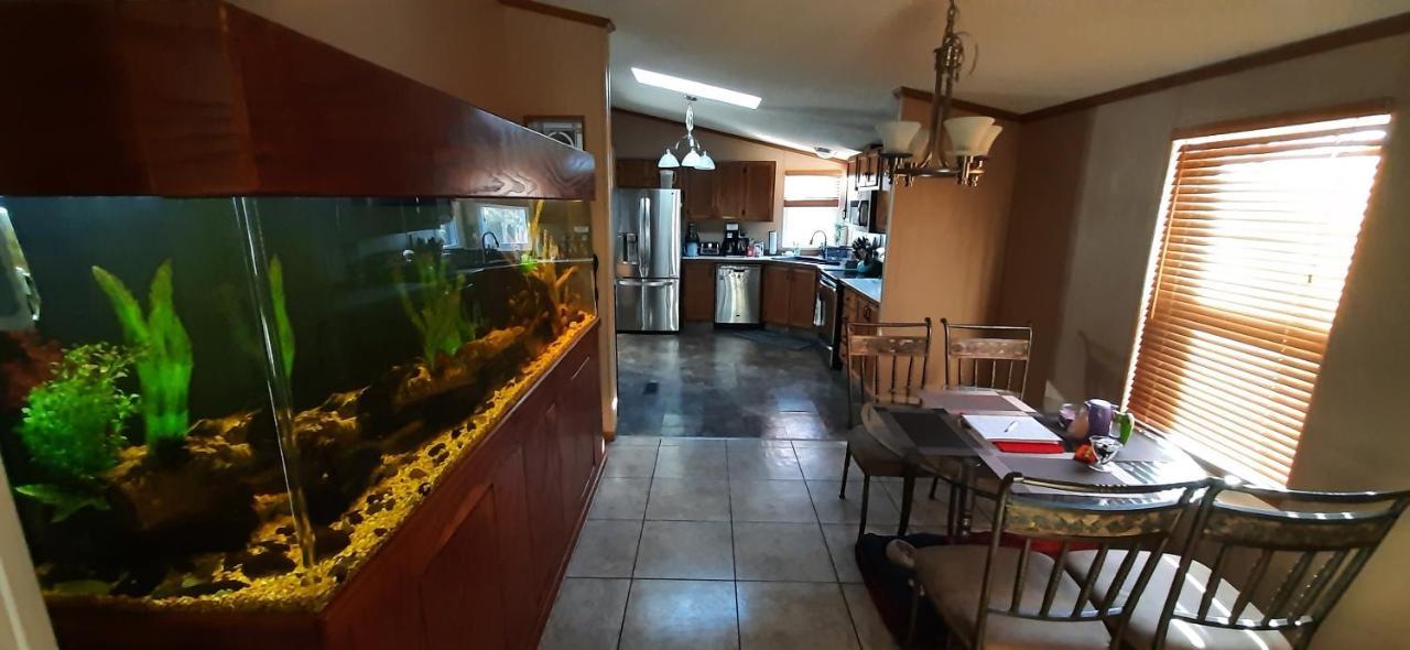 Private Pet Friendly Home Near Exotic Deer Farm Close To Pigeon Forge, Gatlinburg Tn Sevierville Εξωτερικό φωτογραφία